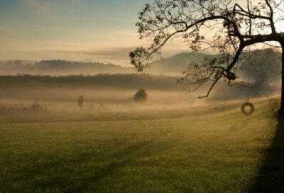 ​春节祝福语文案 春节祝福语(精选130句)