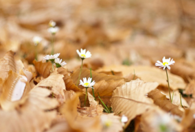 ​预祝考试顺利通过祝福语(精选157条)