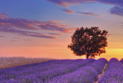 ​早上唯美祝福语句116句