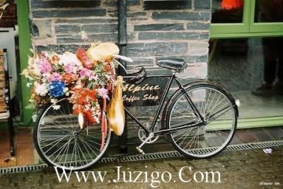 ​赞美年轻人的句子36句