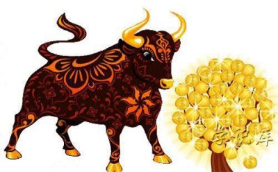 ​属牛忌讳几月出生