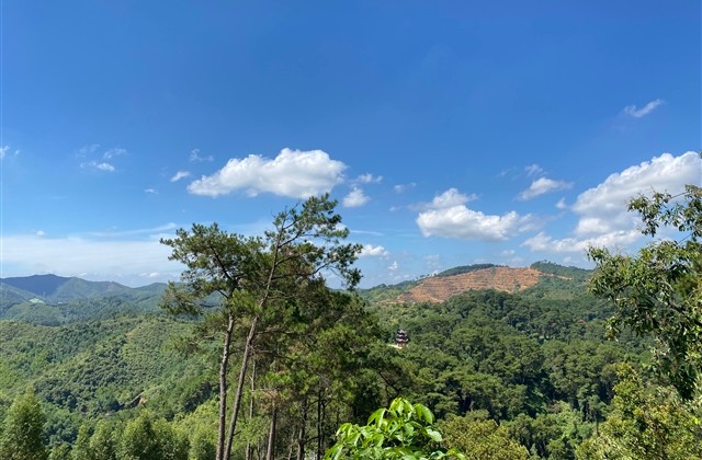 好听洋气的游戏id(914个)