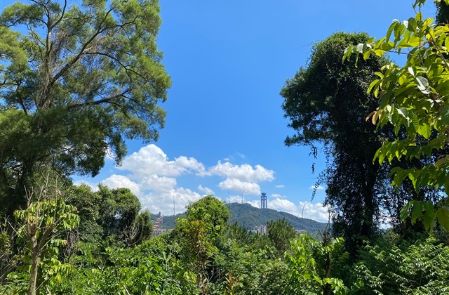 女生简单干净好听的微信网名(优选908个)