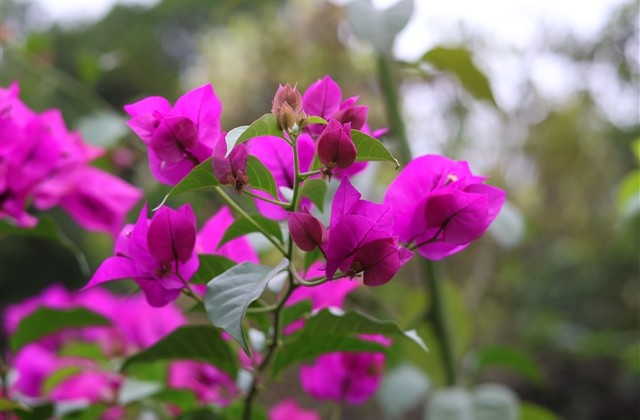 大话西游个性名字(共887个)