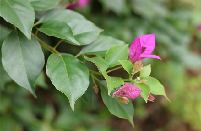 大话西游个性名字(共887个)