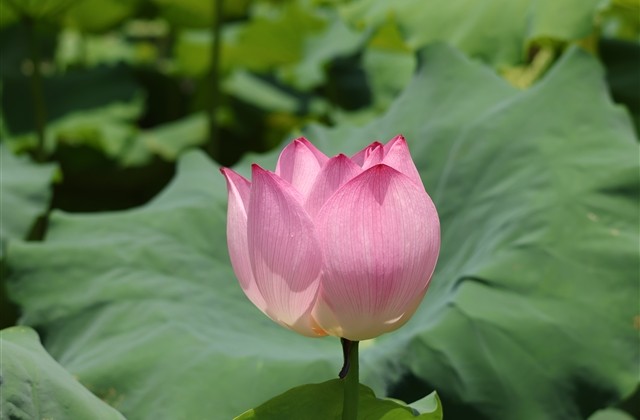 ​独特好听的男微信昵称最新(精选763个)