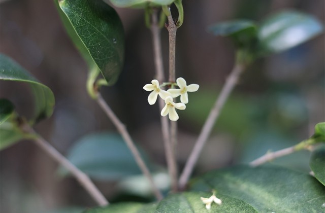 最新男生女生忧伤网名(精选754个)