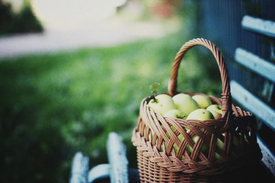 ​祝福短信2023年春节83句