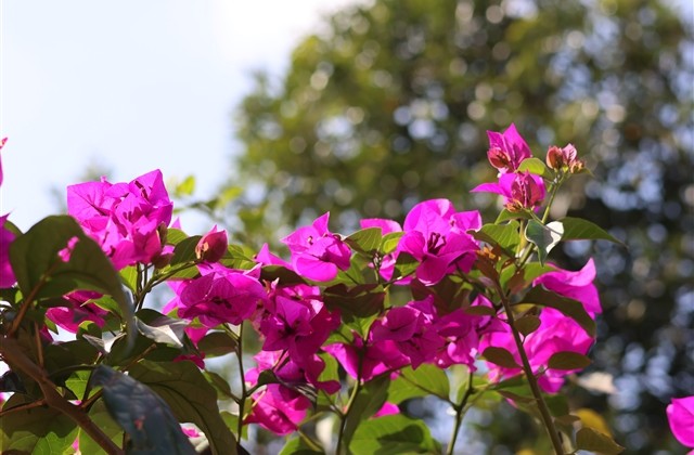 忧伤安静女生网名(445个)