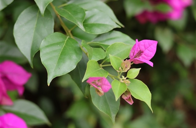 男生帅气时尚网名(精选448个)