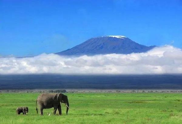 乞力马扎罗山在哪(乞力马扎罗山海拔有多高)