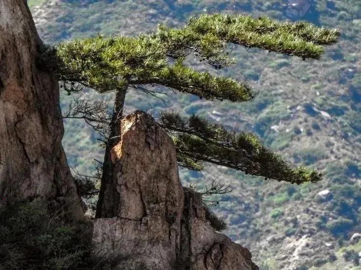 秦皇岛抚宁兔耳山(兔儿山海拔多少米高)