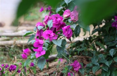 ​离开的网名 暗示离开的网名(精选96个)