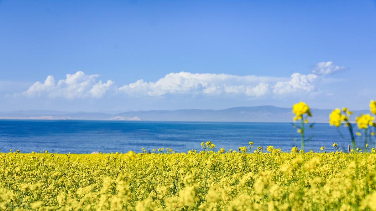 青海湖在哪里(青海湖海拔多少米)