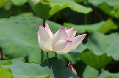 ​搞笑有趣好玩的微信网名精选(优选578个)