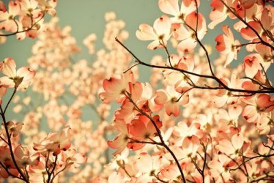 ​新年祝福语2023年81句