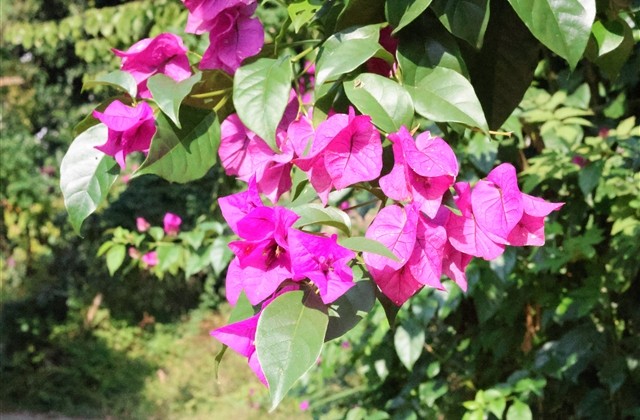 王者荣耀4字伤感网名(581个)