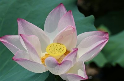 ​王者荣耀4字伤感网名(581个)