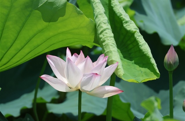 彻底心凉了的昵称(共579个)