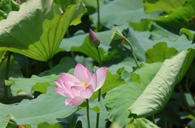 好听寓意好的微信名字(共576个) 好听寓意好的微信名字(共576个)