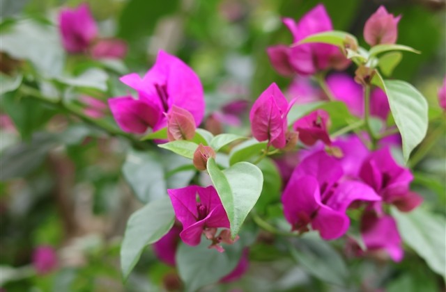 男女通用的六字精选好听网名(共470个)