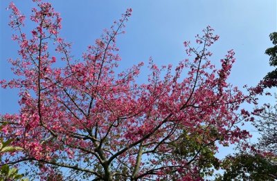 ​气质型的少女唯美小清新微信名字(精选572个)