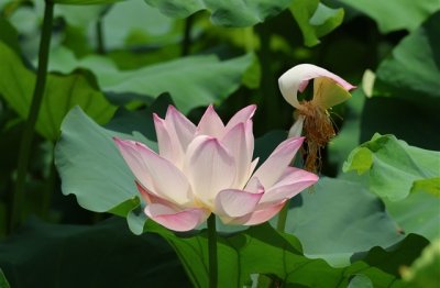 ​伤感到想哭的网名大全(优选566个)