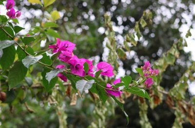 ​好听内涵成熟的女生游戏名字(408个)