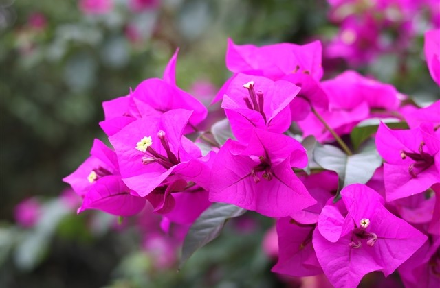 简约又很好听的女生昵称(优选408个)