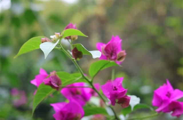 整齐六字的非主流网名(精选390个)