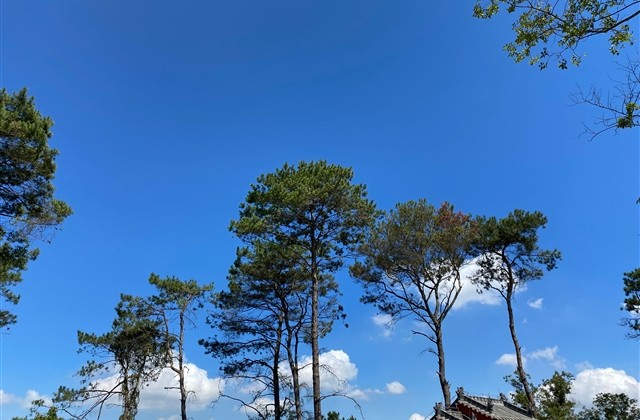 qq微信男生成熟网名(356个)