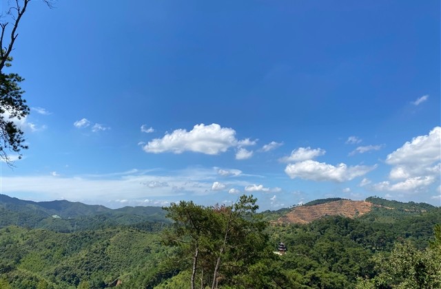 冷门惊艳的网名(共233个)