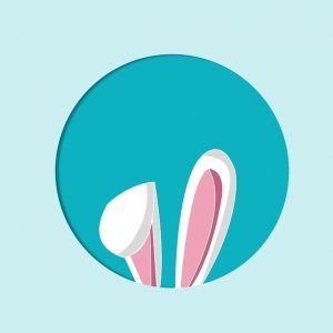 ​关于文艺清新的优美句子