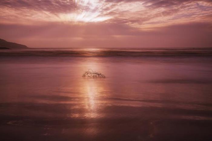 后羿射日读后感（早安――后羿射日之遐想）