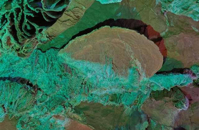 小孩可爱的网名大全(精选206个)