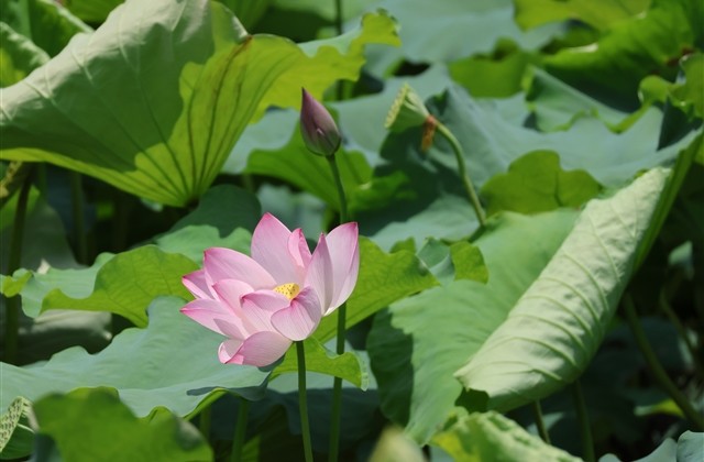 10后必起的网名(213个)