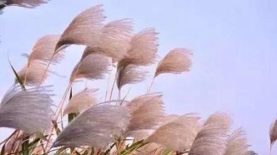 ​头条都是他不更新了吗