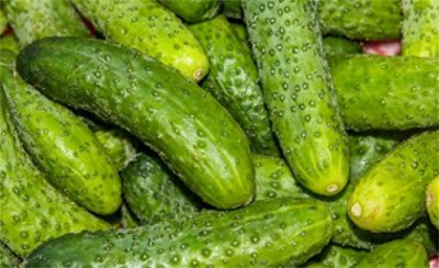 ​黄瓜为什么是绿色的叫黄瓜(黄瓜名字由来)