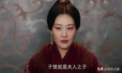 ​华阳夫人和芈月的关系(华阳夫人和芈月的辈分)