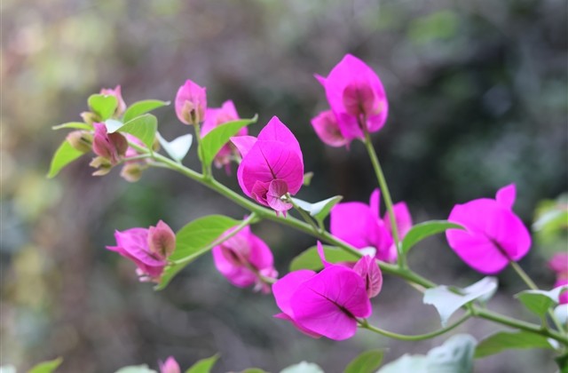 女生符号昵称简短