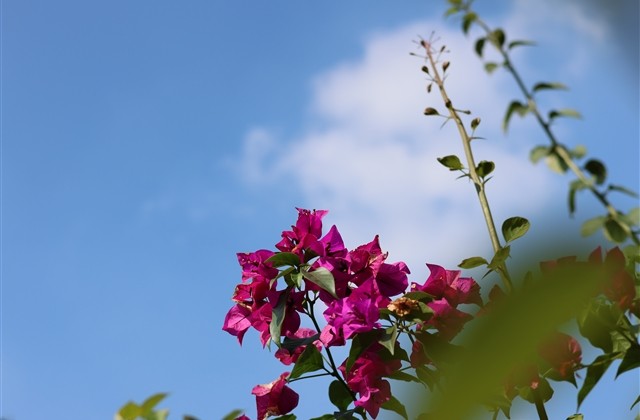 好听不烂大街的情侣网名(优选87个)