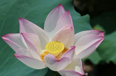 ​qq炫舞网名大全(135个)