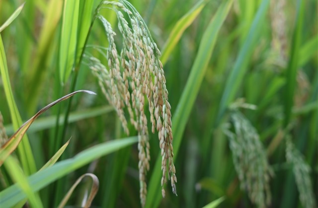 qq炫舞网名大全(135个)