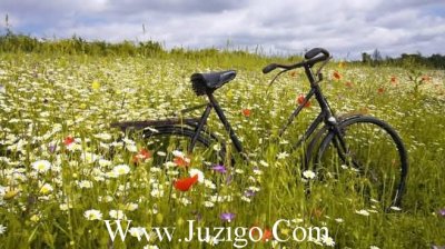 ​2023学校元旦祝福文案(精选100句)