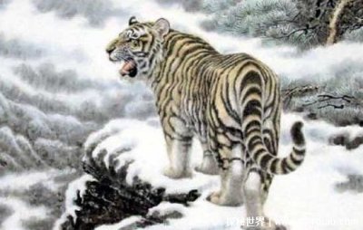 ​与属虎相配的属相是哪个 与虎相冲的属相是？