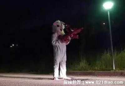 ​美国杀手兔事件 兔子杀人的传说