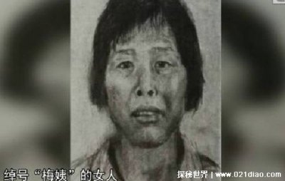 ​人贩子梅姨有多恐怖抓到了吗，至今在逃(网传梅姨新画像非官方)