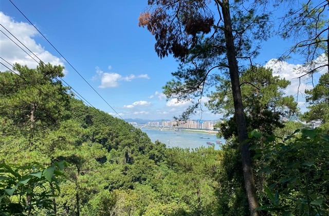 好听又流弊的游戏名(精选71个)
