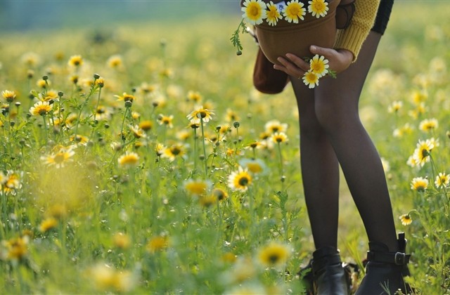 好看的2个字昵称大全：Smile︶晴天°