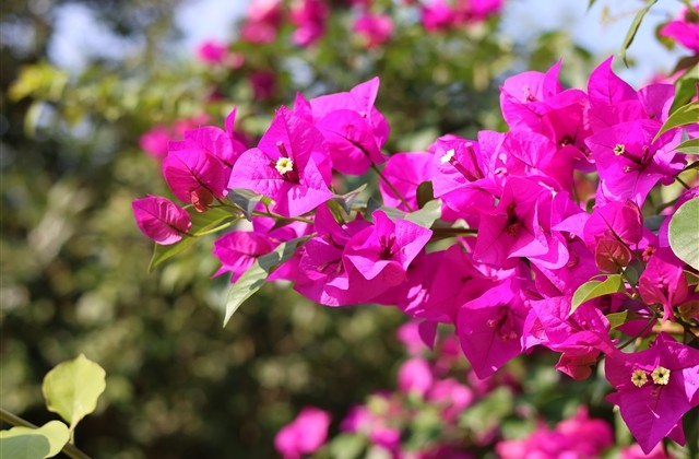 有涵养的男生名字